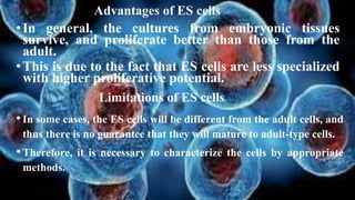 Advantages of ES cells
•In general, the cultures from embryonic tissues
survive, and proliferate better than those from the
adult.
•This is due to the fact that ES cells are less specialized
with higher proliferative potential.
Limitations of ES cells
•In some cases, the ES cells will be different from the adult cells, and
thus there is no guarantee that they will mature to adult-type cells.
•Therefore, it is necessary to characterize the cells by appropriate
methods.
 