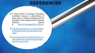 REFERENCES
 V. Fleury (2011). A change in boundary
conditions induces a discontinuity of
tissue flow in chicken embryos and the
formation of the cephalic fold. European
Physical Journal
E. DOI:10.1140/epje/i2011-11073-0
 http://www.freshphotons.com/post/54825
273995/jtotheizzoe-early-developmental-
stages
 https://indusdictum.com/2018/01/05/scien
tists-find-genetic-switch-that-decides-fate-
embryonic-stem-cells/
 