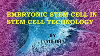 EMBRYONIC STEM CELL IN
STEM CELL TECHNOLOGY
BY
17MBT017
 