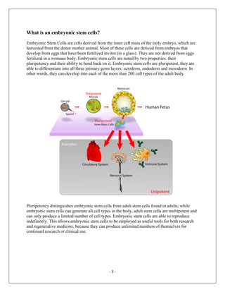 Embryonic stem cell report | PDF