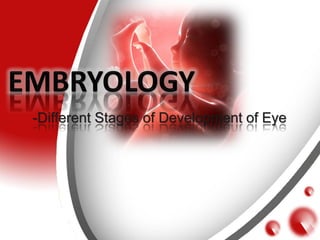 -Different Stages of Development of Eye
 
