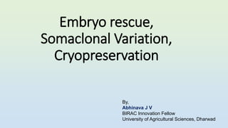 Embryo rescue,
Somaclonal Variation,
Cryopreservation
By,
Abhinava J V
BIRAC Innovation Fellow
University of Agricultural Sciences, Dharwad
 
