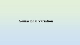 Somaclonal Variation
 