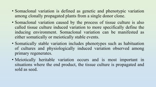 • Somaclonal variation is defined as genetic and phenotypic variation
among clonally propagated plants from a single donor clone.
• Somaclonal variation caused by the process of tissue culture is also
called tissue culture induced variation to more specifically define the
inducing environment. Somaclonal variation can be manifested as
either somatically or meiotically stable events.
• Somatically stable variation includes phenotypes such as habituation
of cultures and physiologically induced variation observed among
primary regenerates.
• Meiotically heritable variation occurs and is most important in
situations where the end product, the tissue culture is propagated and
sold as seed.
 
