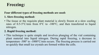Freezing:
Four different types of freezing methods are used:
1. Slow-freezing method:
• The tissue or the requisite plant material is slowly frozen at a slow cooling
rates of 0.5-5°C/min from 0°C to -100°C, and then transferred to liquid
nitrogen.
2. Rapid freezing method:
• This technique is quite simple and involves plunging of the vial containing
plant material into liquid nitrogen. During rapid freezing, a decrease in
temperature -300° to -1000°C/min occurs. The freezing process is carried out
so quickly that small ice crystals are formed within the cells.
 