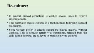 Re-culture:
• In general, thawed germplasm is washed several times to remove
cryoprotectants.
• This material is then re-cultured in a fresh medium following standard
procedures.
• Some workers prefer to directly culture the thawed material without
washing. This is because certain vital substances, released from the
cells during freezing, are believed to promote in vitro cultures.
 