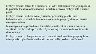 • Embryo rescue” refers to a number of in vitro techniques whose purpose is
to promote the development of an immature or weak embryo into a viable
plant.
• Embryo rescue has been widely used for producing plants from
hybridizations in which failure of endosperm to properly develop causes
embryo abortion.
• In embryo rescue procedures, the artificial nutrient medium serves as a
substitute for the endosperm, thereby allowing the embryo to continue its
development.
• Embryo rescue techniques also have been utilized to obtain progeny from
intraspecific hybridizations that do not normally produce viable seed.
 