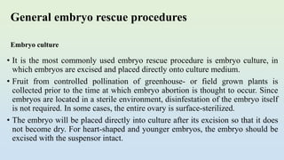 General embryo rescue procedures
• It is the most commonly used embryo rescue procedure is embryo culture, in
which embryos are excised and placed directly onto culture medium.
• Fruit from controlled pollination of greenhouse- or field grown plants is
collected prior to the time at which embryo abortion is thought to occur. Since
embryos are located in a sterile environment, disinfestation of the embryo itself
is not required. In some cases, the entire ovary is surface-sterilized.
• The embryo will be placed directly into culture after its excision so that it does
not become dry. For heart-shaped and younger embryos, the embryo should be
excised with the suspensor intact.
Embryo culture
 