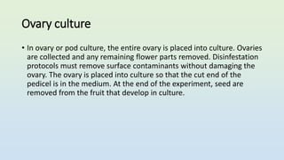 Ovary culture
• In ovary or pod culture, the entire ovary is placed into culture. Ovaries
are collected and any remaining flower parts removed. Disinfestation
protocols must remove surface contaminants without damaging the
ovary. The ovary is placed into culture so that the cut end of the
pedicel is in the medium. At the end of the experiment, seed are
removed from the fruit that develop in culture.
 