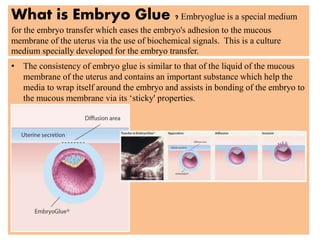 What is Embryo Glue ? Embryoglue is a special medium
for the embryo transfer which eases the embryo's adhesion to the mucous
membrane of the uterus via the use of biochemical signals. This is a culture
medium specially developed for the embryo transfer.
• The consistency of embryo glue is similar to that of the liquid of the mucous
membrane of the uterus and contains an important substance which help the
media to wrap itself around the embryo and assists in bonding of the embryo to
the mucous membrane via its ‘sticky' properties.
 