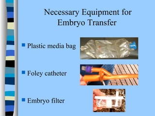 Embryo transfer in_cattle | PPT