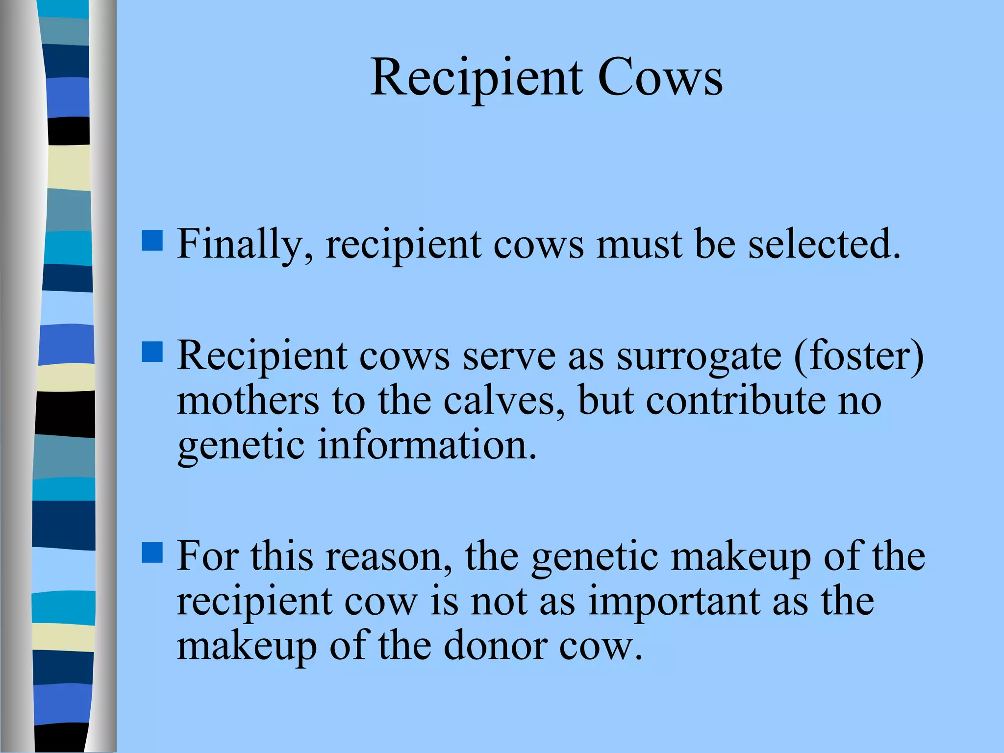 Recipient Cows 
 Finally, recipient cows must be selected. 
 Recipient cows serve as surrogate (foster) 
mothers to the calves, but contribute no 
genetic information. 
 For this reason, the genetic makeup of the 
recipient cow is not as important as the 
makeup of the donor cow. 
 