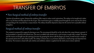 TRANSFER OF EMBRYOS
• Non-Surgical method of embryo transfer
Injection of anesthesia is given between the vertebrae of the rump to reduce rectal contractions. The embryo to be transferred is taken
into a 0.25 ml straw and then placed into the AI gun. Thee insemination gun is carefully passed through the cervix and into the uterus
corresponding to the ovary that has a corpus luteum. The embryo should be disposed as deep into the uterine horn as feasible without
using force.
Surgical method of embryo transfer
The recipient is prepared for surgery by shaving an area. The area prepared should be on the side where the corpus luteum is present. A
local anaesthetic is injected at the shaved area. The area is scrubbed with alcohol and a 2 inch incision is made with a scalpel. The uterus
and the ovaries are brought near the opening of incision by grasping the uterus with the fingers of a hand. A small incision is made in
the exposed uterine horn with a blunt needle. The embryo is drawn into a 0.25 ml straw attached to a small syringe and deposited into
the uterus. The incision is closed with a few stitches and antibiotic solution is applied into the stitch area to remove infection
 
