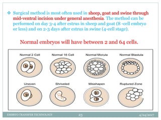 Goat Incision Embryo transfer lecture 7 | PPTX