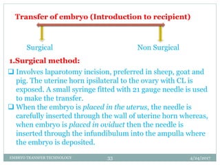 Goat Incision Embryo transfer lecture 7 | PPTX