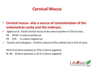 Cervical Mucus 
• Cervical mucus also a source of contamination of the 
endometrial cavity and the embryos. 
• Egbase et al. found cervical mucus to be culture positive in 71% of cases. 
PR 29.6% in culture positive pt 
PR 57% in culture negative pt 
• Fanchin and colleagues : Positive cultures of the catheter tip in 51% of cases. 
PR 24 % (Culture positive) vs 37% ( Culture negative) 
IR 9% (Culture positive) vs 16 % ( Culture negative) 
 