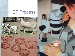 ET Process
13
 