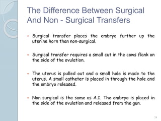 The Difference Between Surgical
And Non - Surgical Transfers
 Surgical transfer places the embryo further up the
uterine horn than non-surgical.
 Surgical transfer requires a small cut in the cows flank on
the side of the ovulation.
 The uterus is pulled out and a small hole is made to the
uterus. A small catheter is placed in through the hole and
the embryo released.
 Non surgical is the same as A.I. The embryo is placed in
the side of the ovulation and released from the gun.
24
 