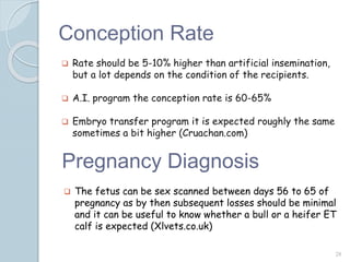 Conception Rate
 Rate should be 5-10% higher than artificial insemination,
but a lot depends on the condition of the recipients.
 A.I. program the conception rate is 60-65%
 Embryo transfer program it is expected roughly the same
sometimes a bit higher (Cruachan.com)
28
Pregnancy Diagnosis
 The fetus can be sex scanned between days 56 to 65 of
pregnancy as by then subsequent losses should be minimal
and it can be useful to know whether a bull or a heifer ET
calf is expected (Xlvets.co.uk)
 