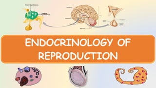 Embryo Transfer Technology LECTURES.pptx