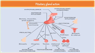 Embryo Transfer Technology LECTURES.pptx