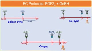 Embryo Transfer Technology LECTURES.pptx