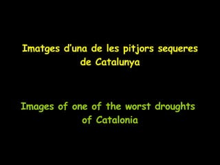 Imatges d’una de les pitjors sequeres de Catalunya Images of one of the worst droughts  of Catalonia 