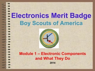 Electronics Merit Badge 
Boy Scouts of America 
Module 1 – Electronic Components 
and What They Do 
2014 
 