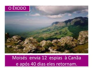 Moisés envia 12 espias à Canãa
e após 40 dias eles retornam.
O ÊXODO
 
