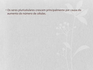• Os seres pluricelulares crescem principalmente por causa do
aumento do número de células.