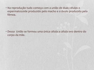 • Na reprodução tudo começa com a união de duas células o
espermatozoide produzido pelo macho e o óvulo produzido pela
fêmea.
• Dessa União se formou uma única célula a célula ovo dentro do
corpo da mãe.