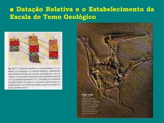■ Datação Relativa e o Estabelecimento da
Escala de Temo Geológico
 