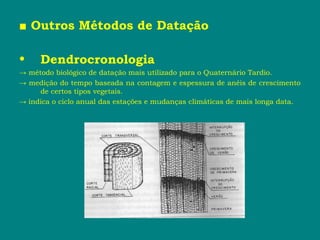 ■ Outros Métodos de Datação
• Dendrocronologia
→ método biológico de datação mais utilizado para o Quaternário Tardio.
→ medição do tempo baseada na contagem e espessura de anéis de crescimento
de certos tipos vegetais.
→ indica o ciclo anual das estações e mudanças climáticas de mais longa data.
 