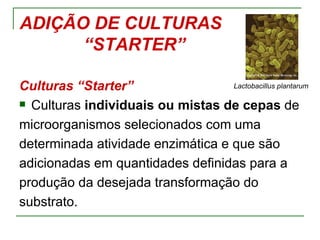 ADIÇÃO DE CULTURAS
      “STARTER”

Culturas “Starter”                 Lactobacillus plantarum

 Culturas individuais ou mistas de cepas de

microorganismos selecionados com uma
determinada atividade enzimática e que são
adicionadas em quantidades definidas para a
produção da desejada transformação do
substrato.
 