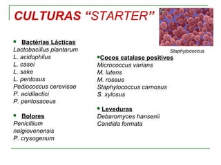 CULTURAS “STARTER”
 Bactérias Lácticas
Lactobacillus plantarum
L. acidophilus
L. casei
L. sake
L. pentosus
Pediococcus cerevisae
P. acidilactici
P. pentosaceus
 Bolores
Penicillium
nalgiovenensis
P. crysogenum
Cocos catalase positivos
Micrococcus varians
M. lutens
M. roseus
Staphylococcus carnosus
S. xylosus
 Leveduras
Debaromyces hansenii
Candida formata
Staphylococcus
 