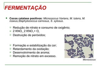FERMENTAÇÃO
 Cocos catalase positivos: Micrococcus Varians, M. lutens, M.
roseus,Staphylococcus carnosus, S. xylosus.
 Redução de nitrato e consumo de oxigênio;
 2 KNO3 → 2 KNO2 + O2
 Destruição de peróxidos;
 Formação e estabilização da cor;
 Retardamento da oxidação;
 Desenvolvimento de aroma;
 Remoção de nitrato em excesso.
Micrococcus
 