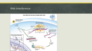 Embyonal Stem Cells - Properties and Classification | PPTX