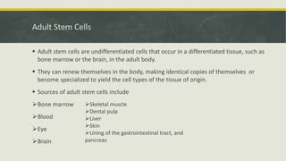 Embyonal Stem Cells - Properties and Classification | PPTX