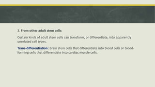Embyonal Stem Cells - Properties and Classification | PPTX