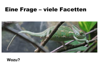 Eine Frage – viele Facetten Wozu?  
