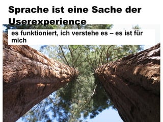 Sprache ist eine Sache der Userexperience es funktioniert, ich verstehe es – es ist f ür mich 