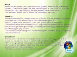 Вандуй
Биеийн жин их / таргалалттай /, чихрийн шижин, бөөрний юмуу зүрхний өвчтэй хүмүүс
хүнсэндээ хэрэглэх нь тохиромжтой. Мөн вандуй нь уураг ихээр агуулдаг тул хүүхдийн
хоол хүнсэнд хэрэглэхэд, хүүхдийн өсөлт хөгжилтөнд таатай нөлөө үзүүлнэ.
- Вандуйг төрөл бүрийн шөлтэй хоолонд урьдчилан чанаж хэрэглэнэ

Зөгийн бал
Зөгийн балны төрлөөс нь хамааран флавноид, куэрсетин, лютелин, камферол, аскорбиний
хүчил зэрэг биологийн идэвхт бодис нь харилцан адилгүй орших ба
глюконы, сүүний, тосны, нимбэгний хүчил зэрэг органик бодис ихээр агуулна.
- Зөгийн бал нь бие махбодийг чийрэгжүүлэх, чихрийн шижин өвчнийг сувилах, ходоодны
шарх, мөөгөнцөрт өвчин, арьсны шарх, хүнсэнд агуулагдах өвчин үүсгэгч бичил биетний
үржлийг сааруулах үйлчтлгээтэй.
- Зөгийн балыг шинэ байдлаар эсвэл ундаа бэлтгэж уухаас гадна талх чихэр, сүү зэрэгтэй
хамт хэрэглэж болно.

Оливийн тос
Оливийн тосны 77%-ийг нэг хос холбоост ханаагүй хүчил эзэлнэ. Түүнчлэн А, В, Е
аминдэм их бөгөөд харин тосны бусад төрөлтэй харьцуулахад уураг бага юм.
- Энэ тос нь зүрх судасны өвчинд өртөх эрсдлийг бууруулах үйлчилгээтэй ба судас
хатуурах, цусны даралт ихсэх явцыг сааруулах, цусны сахарын түвшинг бууруулах, цусан
дахь холестериний түвшинг багасгана.
- Оливийн тосыг салат хийж, хоол хүнсэнд шууд хэрэглэнэ
 
