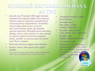 •   Дэлхий дээр 75 овгийн 1200 гаруй зүйлийн                    •    Генератив ангилалд дараах
    хүнсний ногоо ургадаг байна. Хоол хүнсэнд                       ногоо багтана.
    хэрэглэх шүүслэг ургамлыг хүнсний ногоо
                                                                •   Лоолийн төрөл:
    хэмээн эрдэмтэд тодорхойлжээ. Тухайлбал:
                                                                    хаш, улаан, ногоон
    залуу мөчир, нахиа, үндэс, үндэслэг
                                                                    чинжүү, улаан лооль
    иш, толгой, булцуу, үрэвч, үр, жимсийг
    хүнсэнд хэрэглэнэ. Хүнсний ногоог вегетатив                 •   Хулууны төрөл: өргөст
    (булцуу, үндэс, салаа, шилбэ, гол, иш, навчийг                  хэмх, тарвас, хулуу, амтат гуа
    нь хүнсэнд хэрэглэх ногоо) ба генератив                     •   Буурцаг: шар
    (жимс, цэцгийг нь хүнсэнд хэрэглэх ногоо)                       буурцаг, вандуй, бусад шош
    гэж 2 бүлэгт хуваана.                                       •   Үр тарианы төрөл
•   Вегетатив ангилалд дараах ногоо багтана.                    •   Хүнсний ногоог амьдралын
•   Булцуут ногоо: төмс, амтат төмс, хүрэн                          хугацаагаар нь нэг наст, олон
    манжин                                                          наст гэж ангилна. Үр соѐолохоос
•   Үндэс үрт ногоо: шар, улаан, цагаан лууван, яншуй, цоохор       эхлээд болц нь гүйцэж ургац
    майлз, хүрэн, шар манжин зэрэг үндэслэг ишт ногоо               хураах хүртэлх үеийг амьдралын
                                                                    хугацаа гэнэ.
 