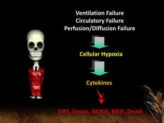 Ventilation Failure
Circulatory Failure
Perfusion/Diffusion Failure
Cellular Hypoxia
Cytokines
SIRS, Sepsis, MODS, MOF, De...