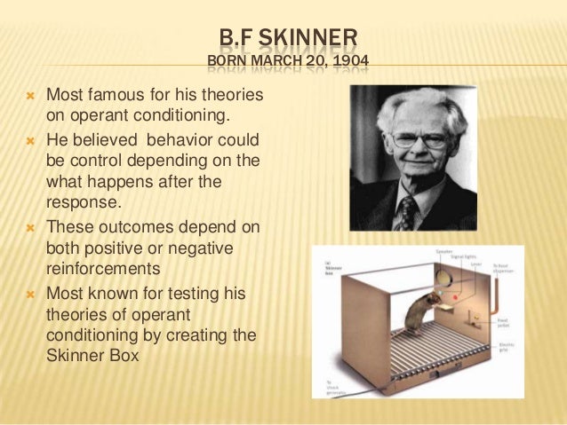 B F Skinners Theory Of Behaviorism