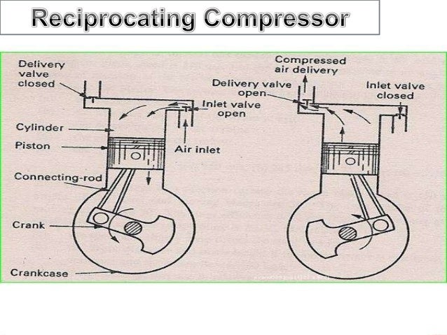 schematic anatomy