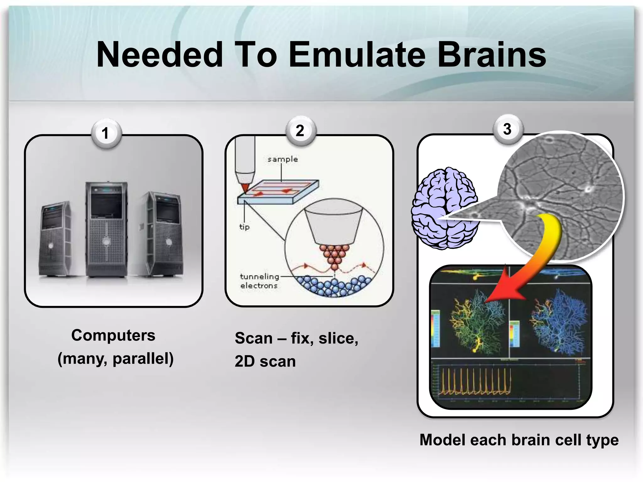 Needed To Emulate Brains
1
Computers
(many, parallel)
2
Scan – fix, slice,
2D scan
3
Model each brain cell type
 