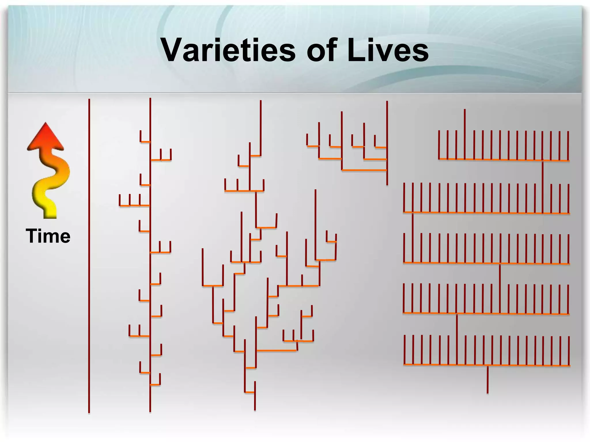 Varieties of Lives
Time
 