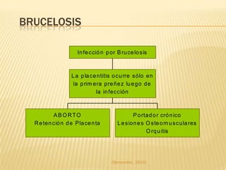 Enfermedades que deterioran la condición animal y por ende la función reproductiva