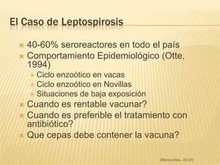 Baja productividad del hato